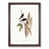 Walnut Framed selected