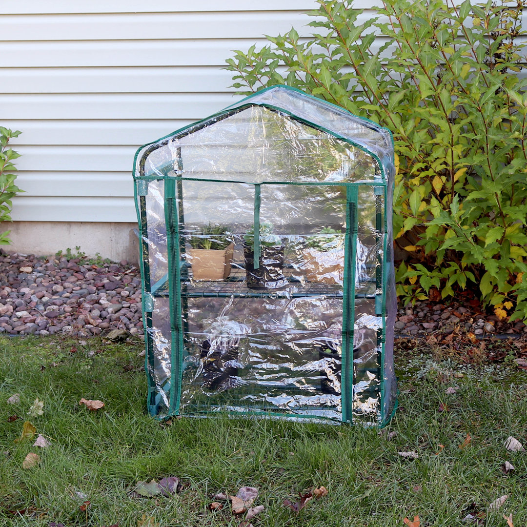 Alyk 26.5" W x 19" D  Outdoor Portable 2-Tier Mini Greenhouse with Clear Cover Arlmont & Co.
