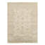 Oriental Area Rug in Ivory