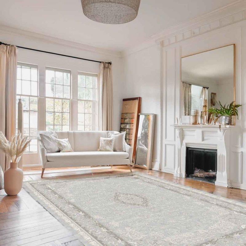 Sapphire Whisper Frame Light Grey Beige Persian Abstract Area Rug, Rectangle 160 x 230 cm