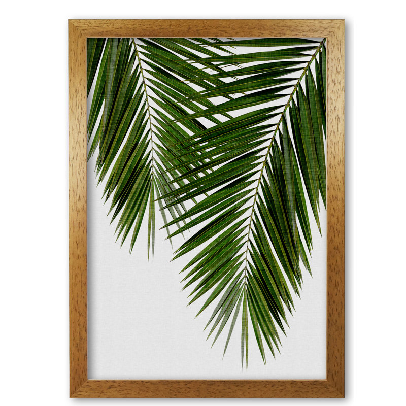 Palm Leaf II - Print, Honey Oak Frame, 42 cm H x 30 cm W x 5 cm D