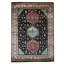 Hand Knotted Area Rug in Black And Cream