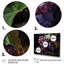 Fruits Royal Grapes Vineyard III - Fruits Wall Art-1884073479