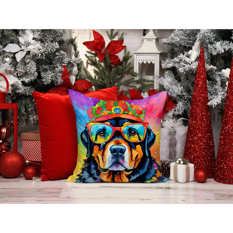  Other/No Pattern Throw Pillow