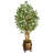 66'' Faux Ficus Tree in Wood Planter