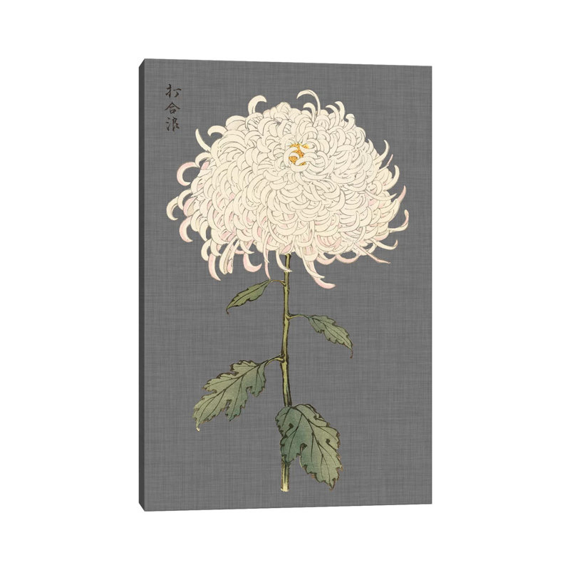 Dramatic Ivory Mums II by Vision Studio - Wrapped Canvas Painting, 66.04 cm H x 45.72 cm W x 1.91 cm D