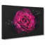 Fuscia Pink Carnation - Wrapped Canvas Painting-56640172
