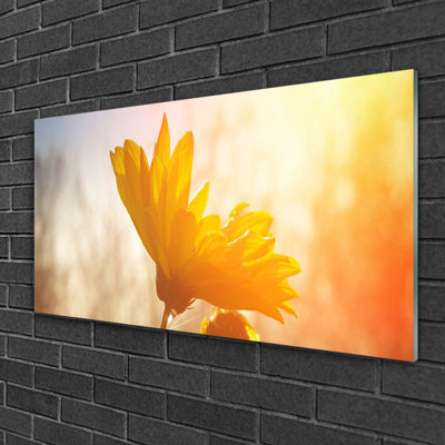 Glass Print Wall Art 100X50cm Image Printed On Glass Decorative Wall Picture Behind Toughened / Tempered Safety Real Glass For Kitchen & Living Room Theme: Sunflower Floral