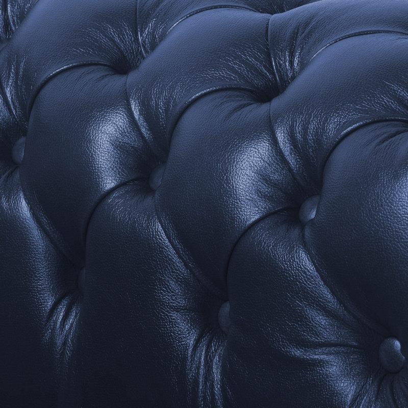 Tamico Genuine Leather Sofa, Blue, 5