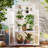 Height Wood Large Greenhouse Balcony Portable Cold Frame With Wheels, Adjustable Shelves And Openable Roof-111030888