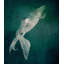 Marine Collection IV Print by GI Lab-26703676-26703675