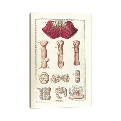 " The Science Of Human Anatomy I " by National Library Of Medicine