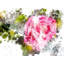 Floral 3426 Print by Chamira Young-71201552-71201553