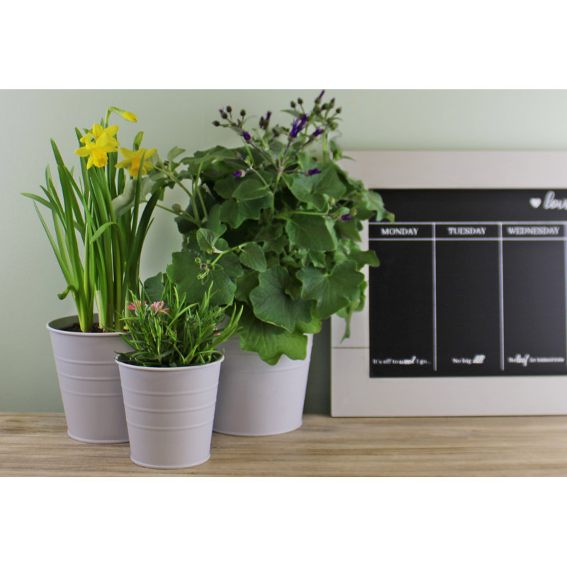 Shroyer Metal Pot Planter, Grey