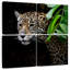 Jaguar tapi-516345727