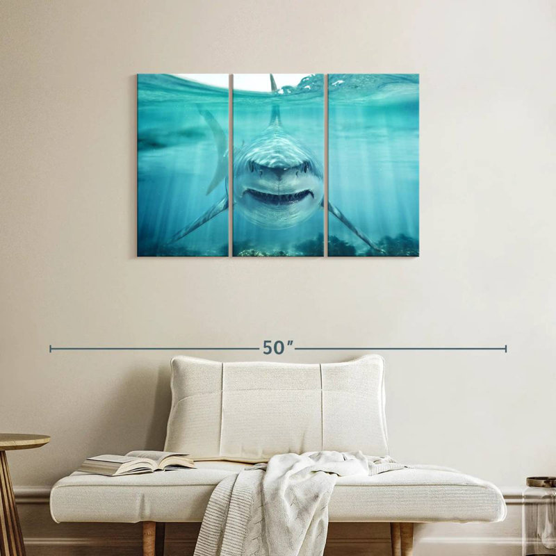 Predatory White Shark, 24" H x 38" W