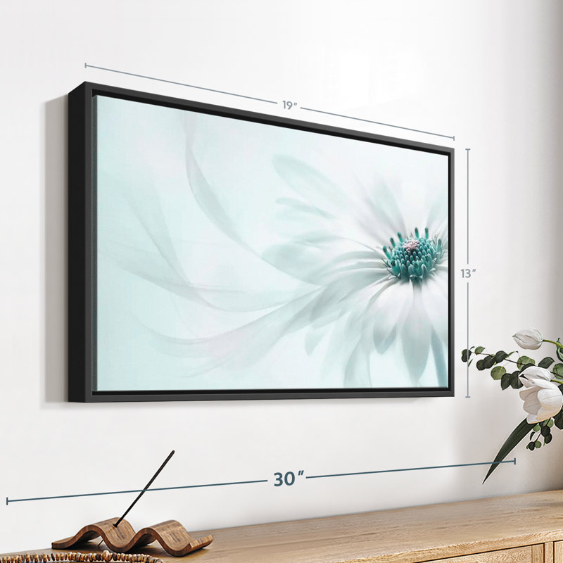 Impression sur toile translucide Cape Daisy, H 13 po x l 19 po