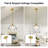 Aguilera 1-Light Apple-Shaped Water Glass Pendant Light for Kitchen Island, Dining, 9.1" W, E26 Base-1862510484