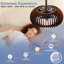 Ventilateur de plafond rustique 20 pouces à 6 lumières, ventilateur à moteur à courant continu à 5 pales réversibles, lumière silencieuse ultra DC à 6 vitesses avec télécommande pour la chambre à coucher, le salon, la cuisine, le patio couvert et le balcon.