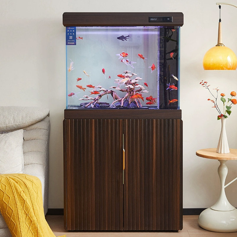 Aquarium 75-83 gallons, 66 gallons (H 61,02 po x l 31,5 po x P 16,54 po)