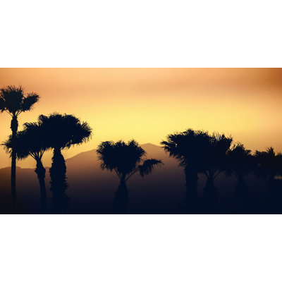 Sunset In The Palms 1 Print