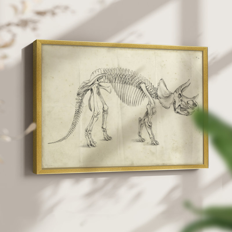 Dinosaur Study II -Framed Print - Restickable, 8" H x 10" W