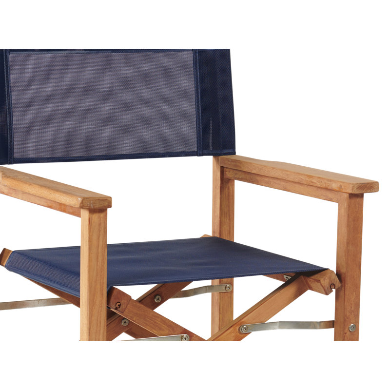 Folding Director Chair, Blue