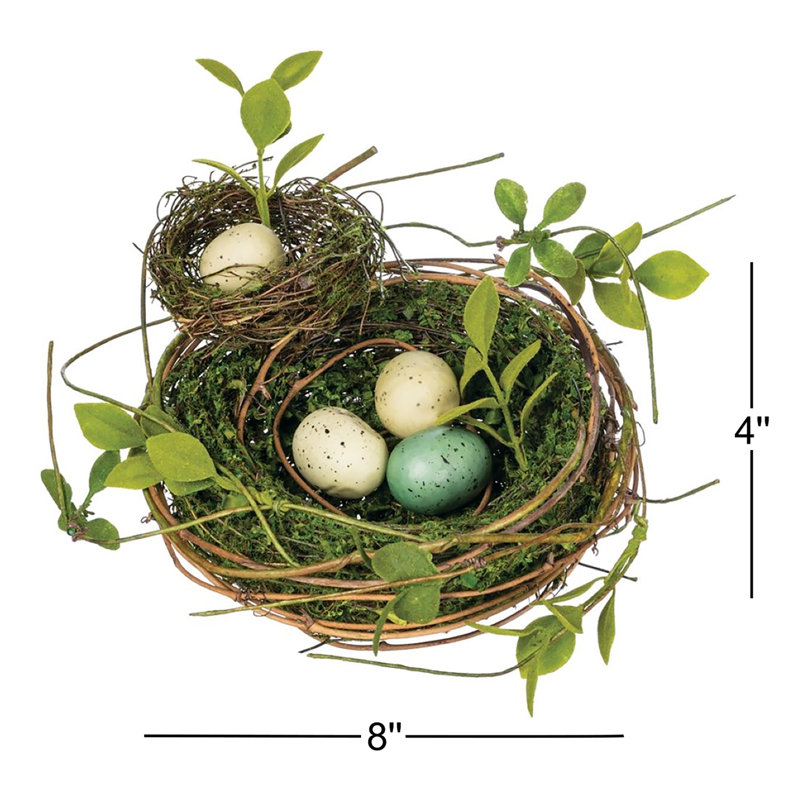 Nest with Eggs