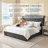 57" Velvet Button Tufted Wingback King Bed Frame with Storage Drawers, No Box Spring Needed, Black-11630335-11630332