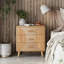 Braughton 25.79'' W Nightstand