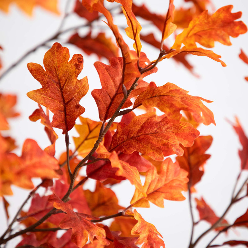 Arbre d'automne, H 108 po x l 48 po x P 48 po