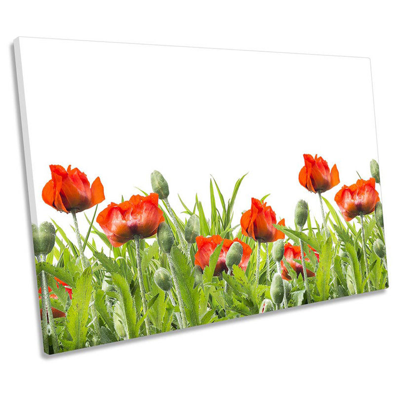 Red Poppies Floral Flowers - Wrapped Canvas Print, 81.3cm H x 121.9cm W x 4cm D