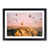 Black Framed selected