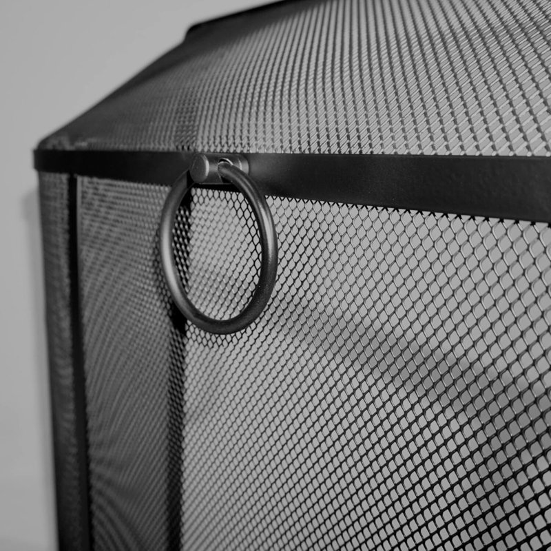 Dieter Steel Fireplace Screen