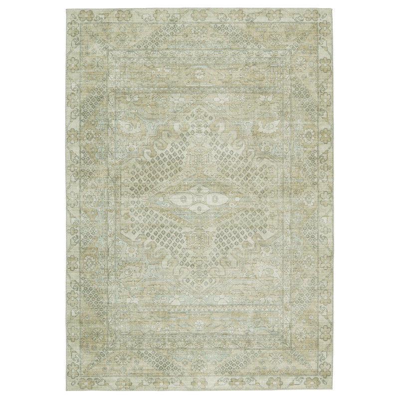 Tapis taupe / gris clair de style sud-ouest Issa, Tapis de couloir 2 pi 6 po x 8 pi