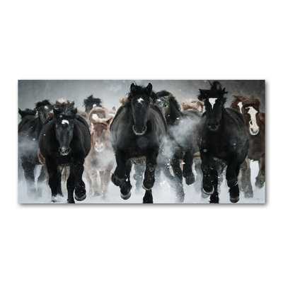 Horses In A Gallop - Wrapped Canvas Print