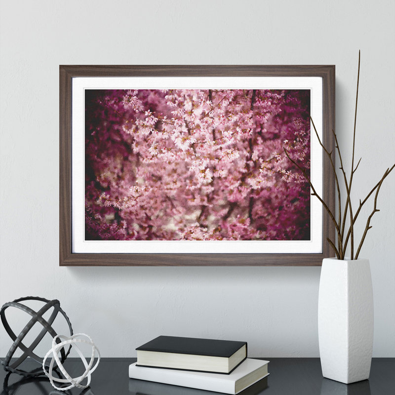 Pink Cherry Blossom Flowers Vol.5 - Framed Print, 36cm H x 48cm W x 2cm D, Walnut Framed