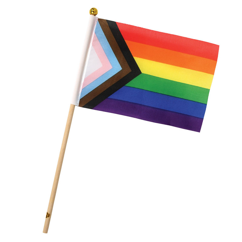 Drapeaux Pkgd Pride - 4 po x 6 po - paquet de 6