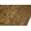 Wool Oriental Area Rug in Gold