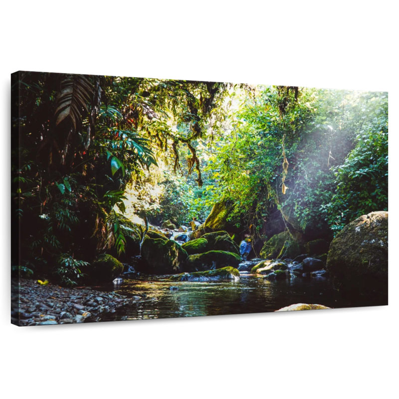 Alvord Forest In Panama, 8" H x 12" W