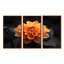 Dahlia noir et jaune en photo monochrome - ensemble d'art mural Dahlia-107163741-107163745