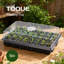 TOQUE Seed Trays 5Pc Clear View With Lids 40 Cell Propagators For Plants Green-136397998-136397999
