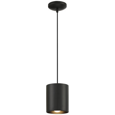 Cailinn 1 - Light Single Pendant