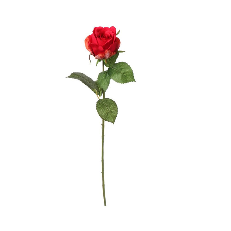 Tige rose 20 po - paquet de 12