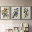 Pl 107 Canada Jay - ensemble de 3 peintures sur toile encadrées-768052229-768052226