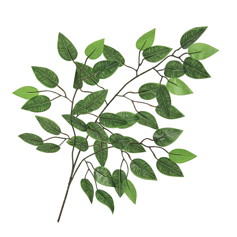 Ficus artificiel, tige, plante, verdure, feuillage, branche
