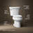 Wellworth 1.28 GPF Water Efficient Elongated Two-Piece Toilet (Seat Not Included)-101431386-10977917