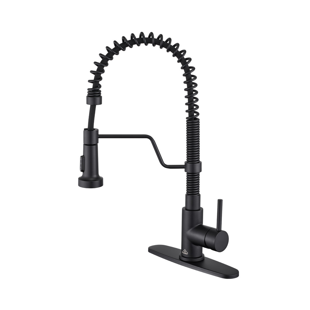 Bolden CASAINC 1.8 GPM Spring Neck Pull Down Kitchen Faucet with Deck Plate CASAINC 