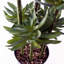 60cm Faux Plant in Planter