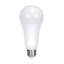 18 Watt White LED Bulb